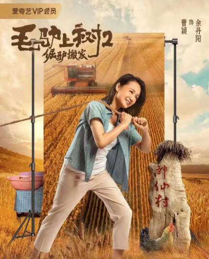 特级一级毛片