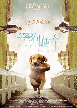 综合网伊人