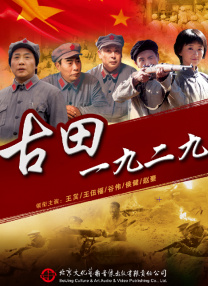 国产成人艳妇aa视频在线