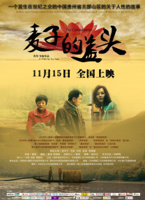 我岳母不一般