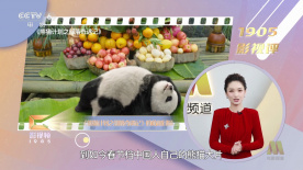 玛丽的别墅